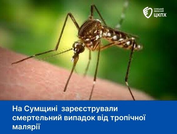 На Сумщине зарегистрировали смертельный случай от тропической малярии: мужчина умер после возвращения из Африки