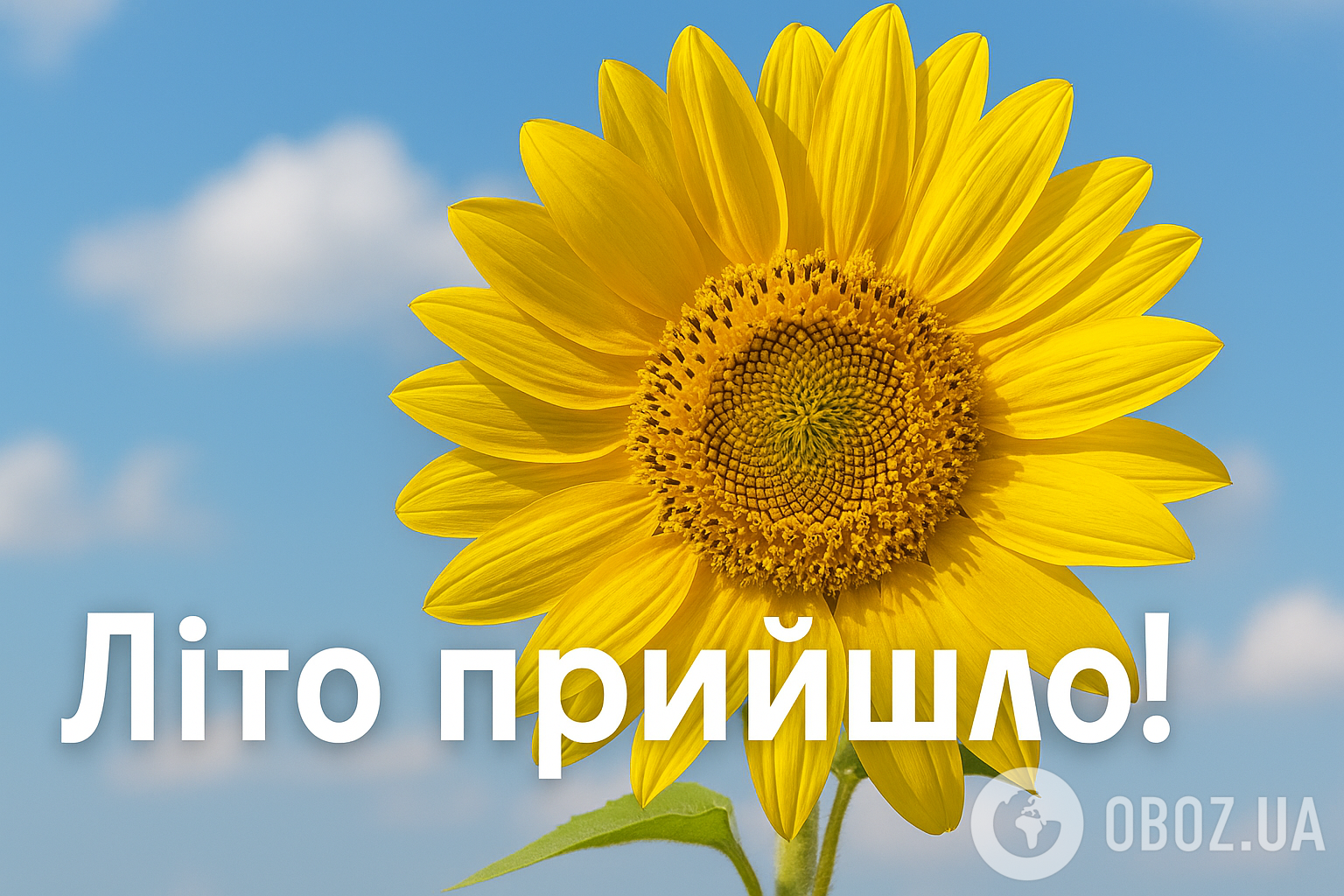 С первым днем лета: красивые поздравления и картинки