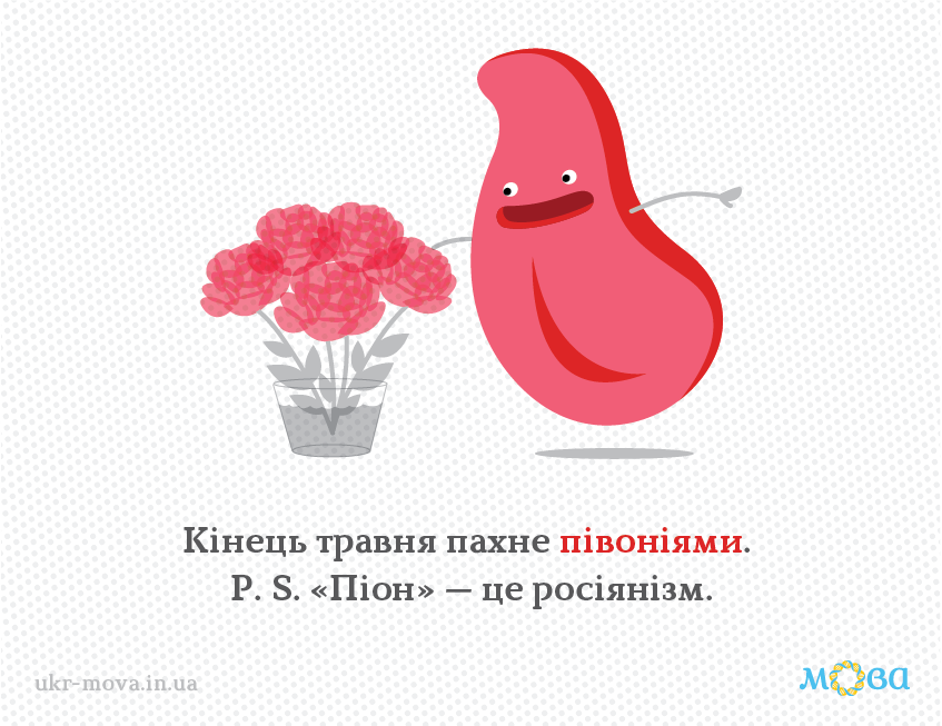 Ніколи не купуйте ''піони'': як правильно назвати українською найкрасивіші квіти травня