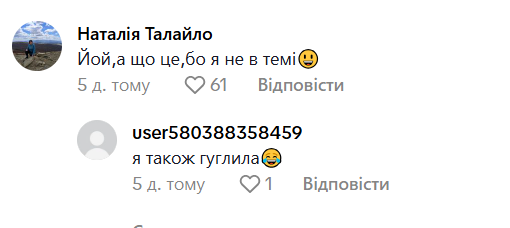 ''Тільки звикла до Таба-лапок, а вже з'явились якісь Лабубу'': вчителька розсмішила мережу дописом про іграшки учнів