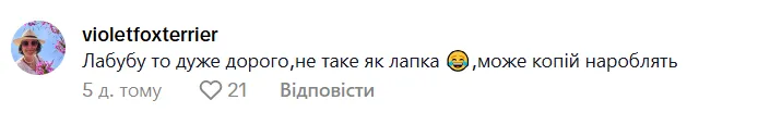 ''Тільки звикла до Таба-лапок, а вже з'явились якісь Лабубу'': вчителька розсмішила мережу дописом про іграшки учнів