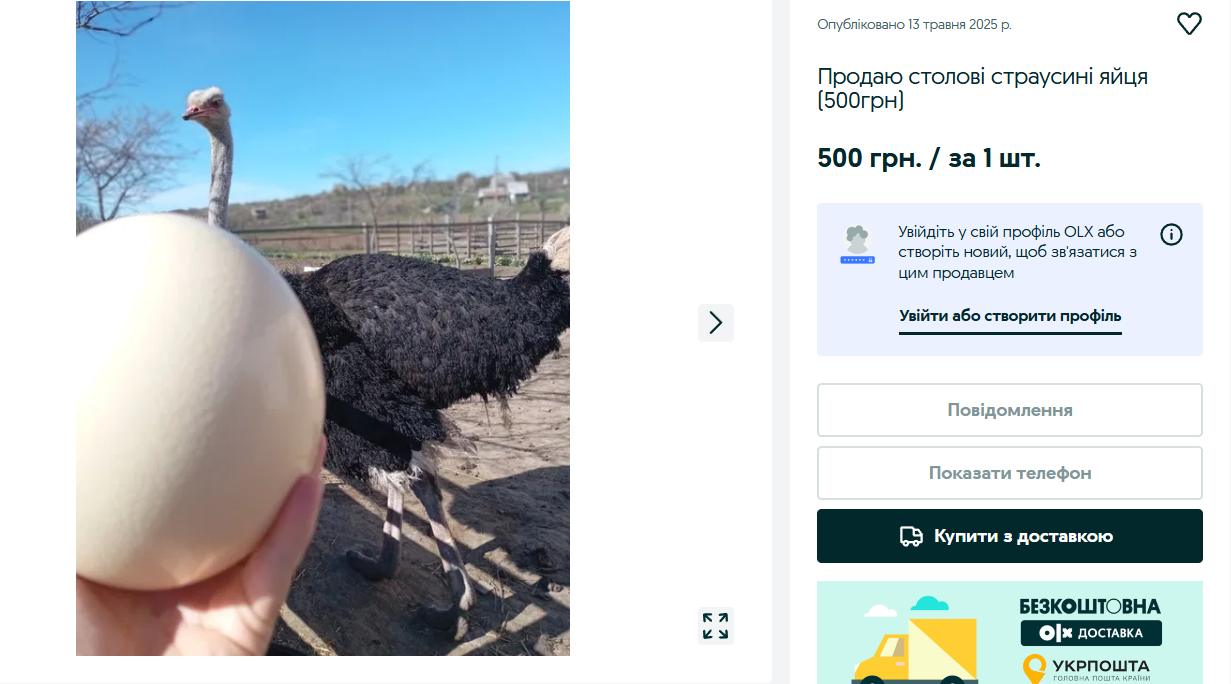 Яйце страуса продають за 500 грн