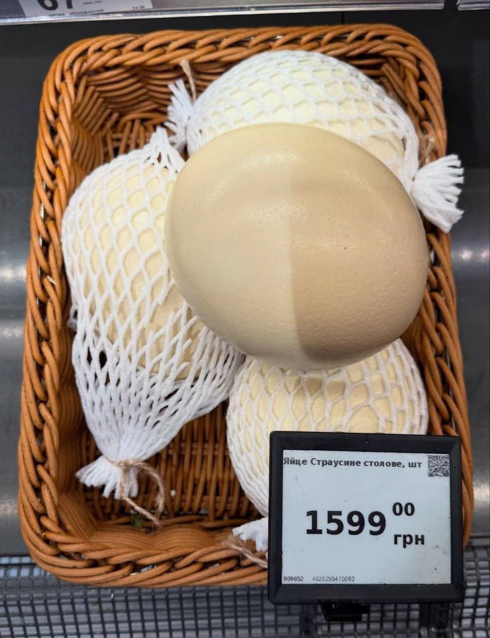 Страусячеяйце за 1600 грн
