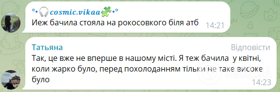 "Матриця дала збій": у Чернігові помітили смерч, видовище викликало ажіотаж у мережі. Фото й відео