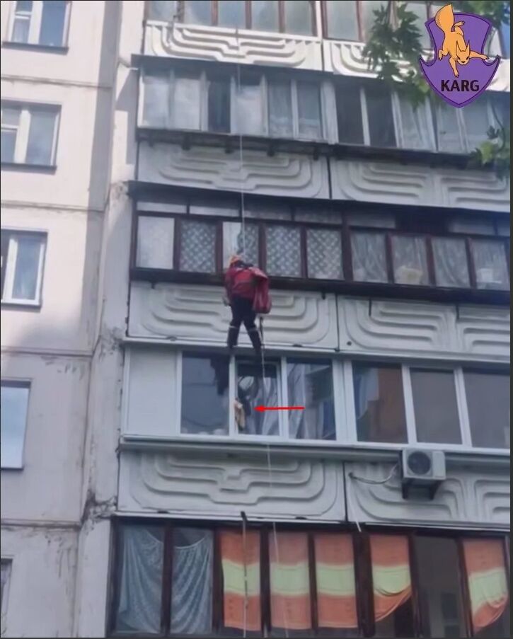 У Києві рятувальники допомогли коту, який опинився у смертельній пастці. Подробиці та відео