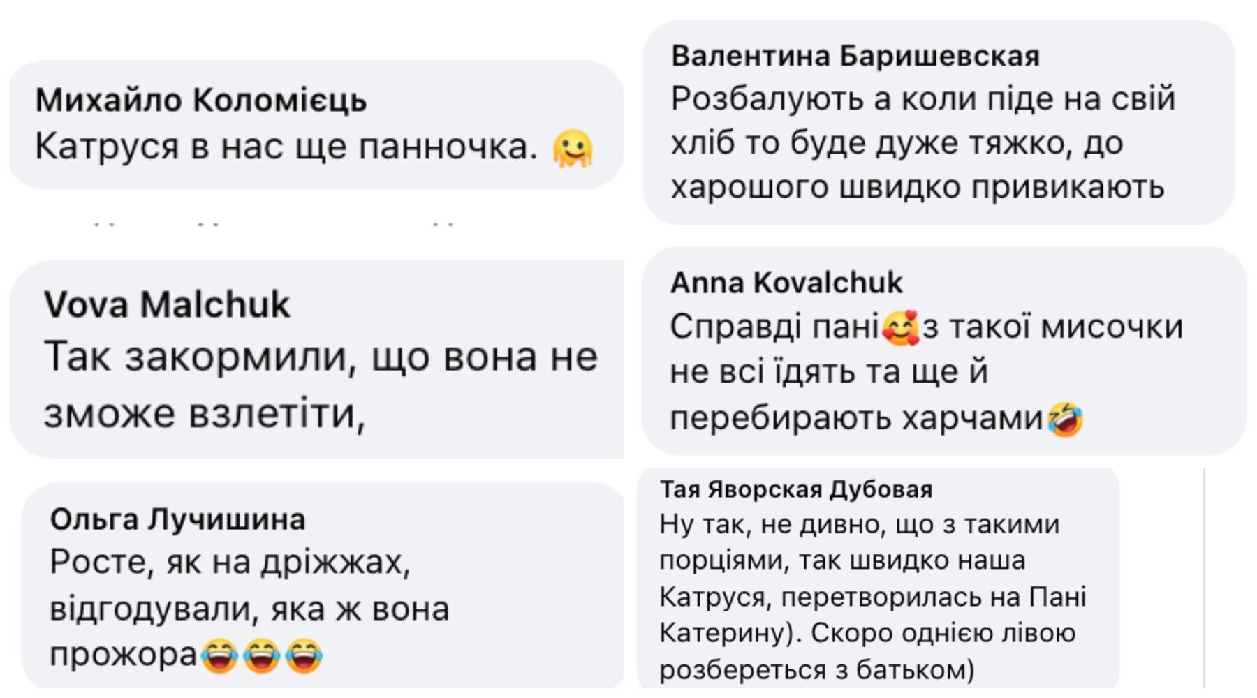 Користувачі соцмережі про лелеченя Катрусю