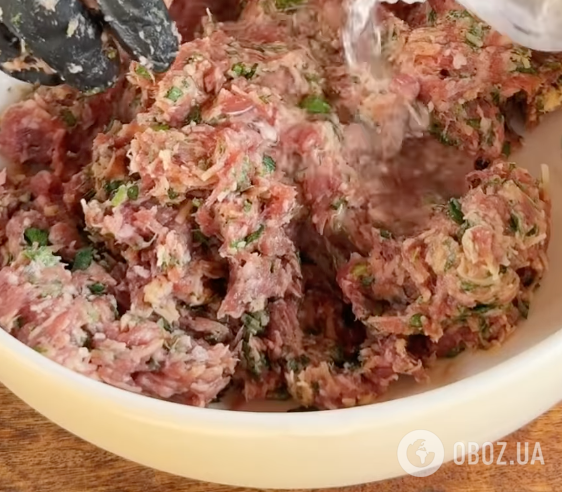 Мясная начинка