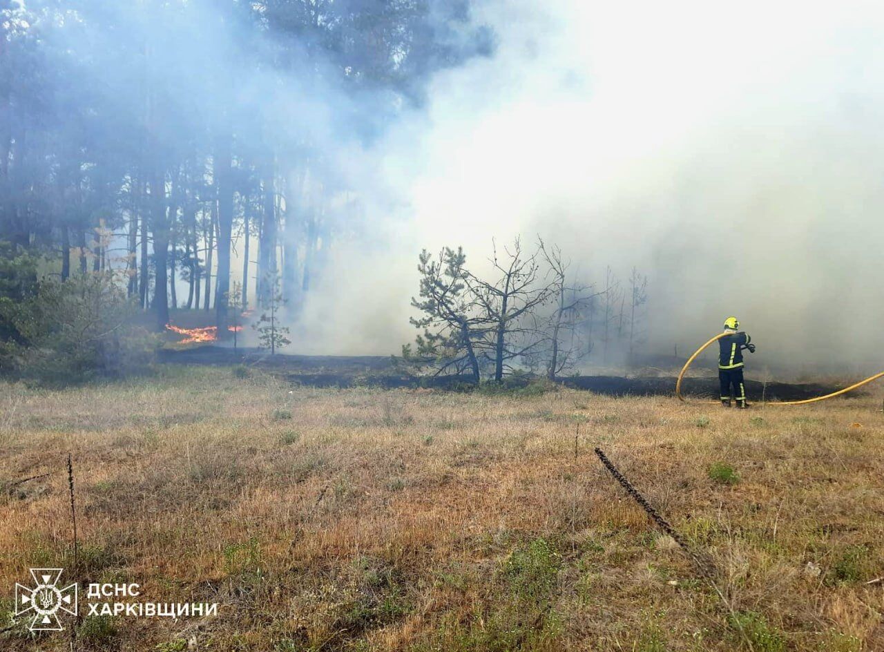 На Харківщині через обстріли почалися лісові пожежі: фото з місця