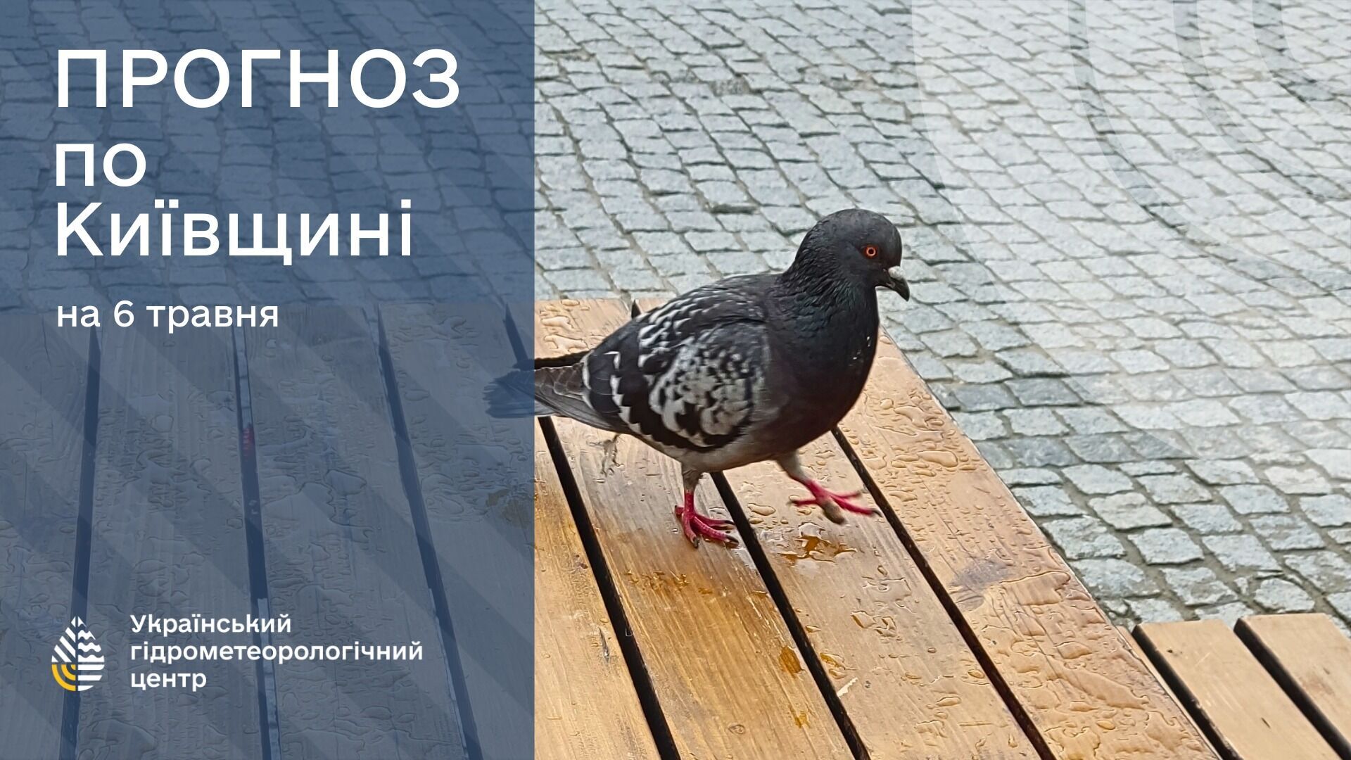 Україну все більше затягує дощами: синоптики назвали рідкісні регіони, де у вівторок буде сонячно
