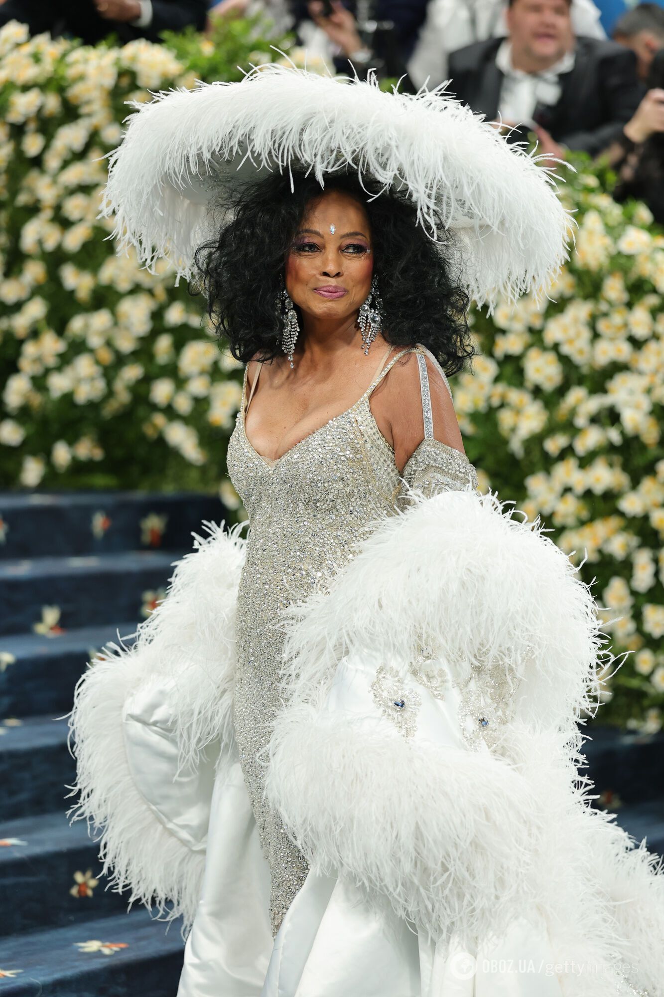 81-летняя Дайана Росс пришла на Met Gala 2025 в самом роскошном платье и затмила всех остальных звезд. Фото