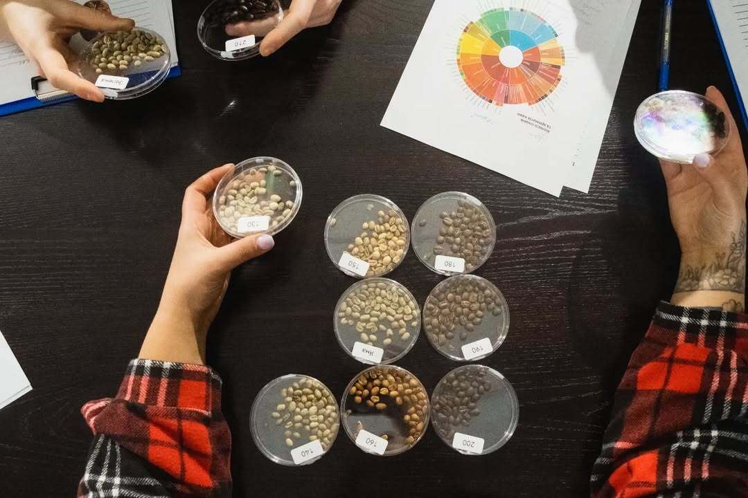 Як United Kyiv Roasters допомагає бізнесу зробити каву улюбленим ритуалом клієнтів