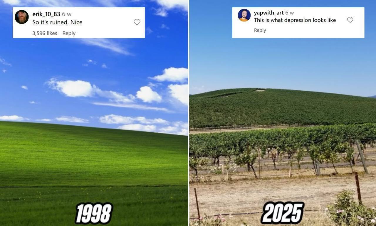Зеленый холм из знаменитых обоев Windows XP изменился до неузнаваемости: фотофакт