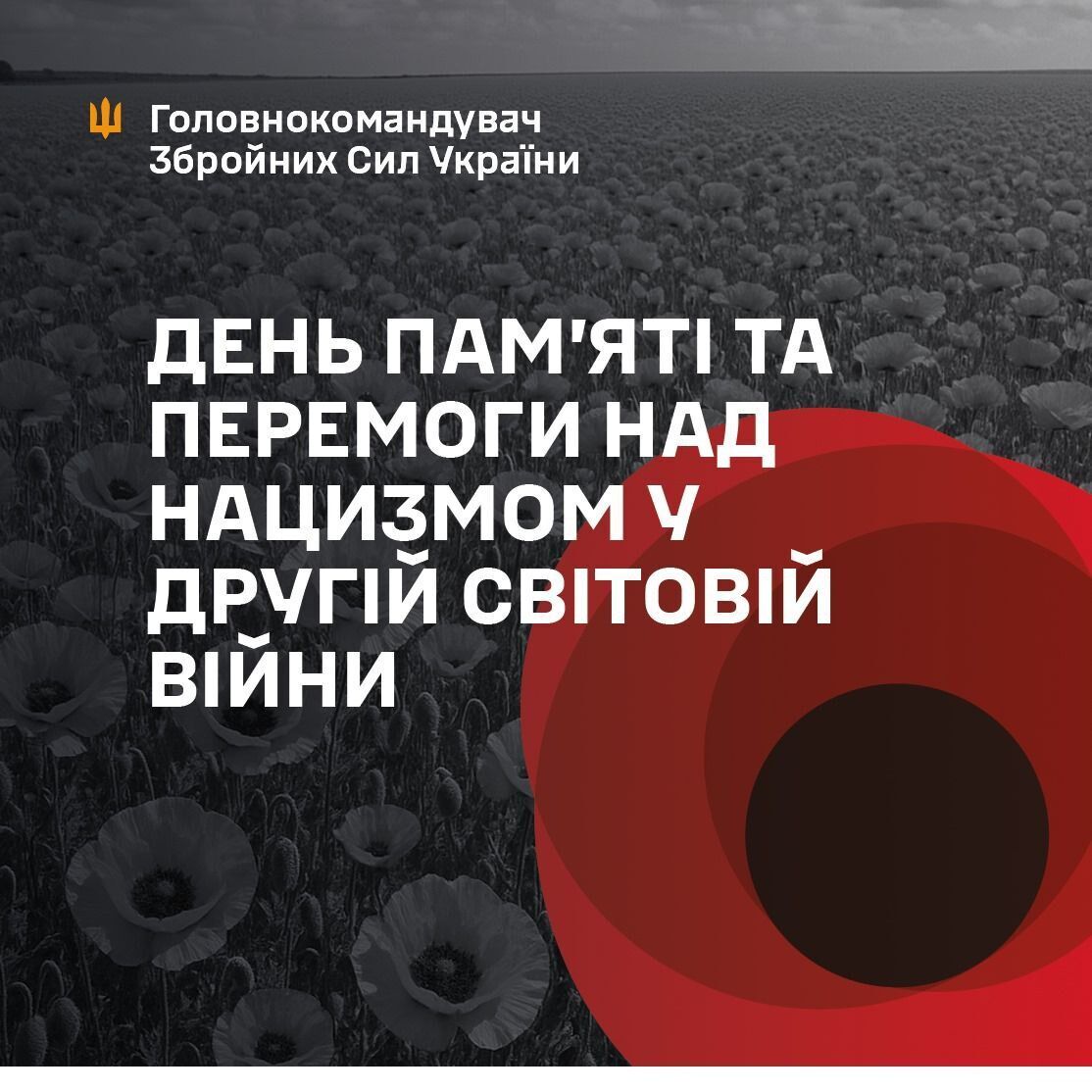 80 лет назад мы боролись с похожим злом: в Украине День победы над нацизмом отмечают в условиях российской агрессии. Видео