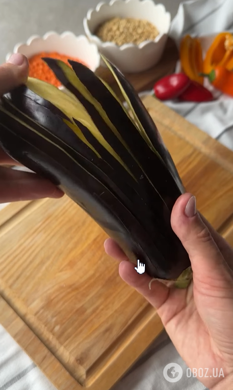 Ребенок не любит баклажаны: как вкусно приготовить овощ, чтобы он точно понравился