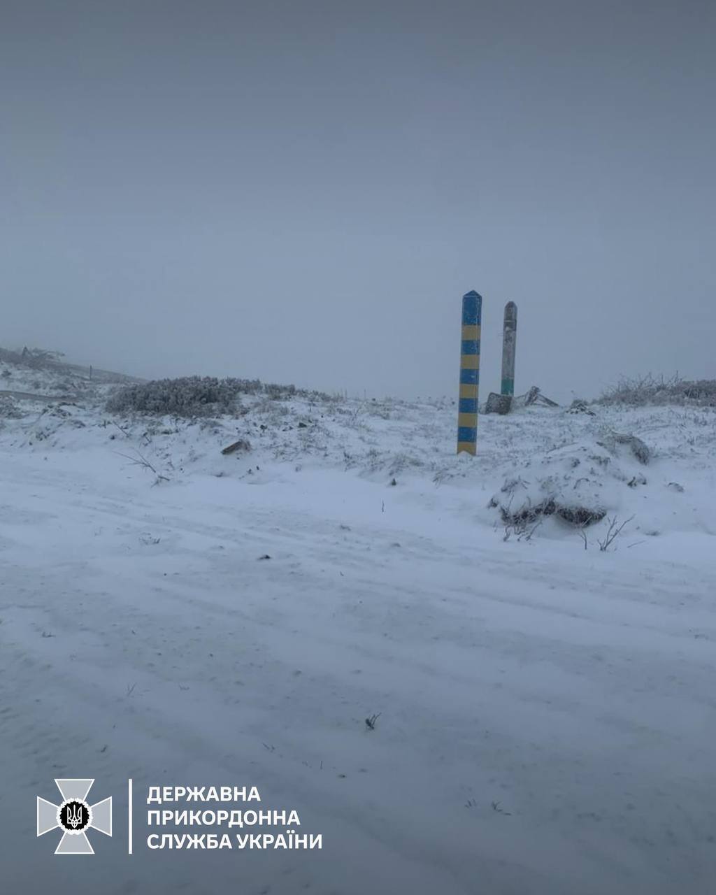 Карпаты заснежило: спасатели предупредили об ухудшении погодных условий. Фото