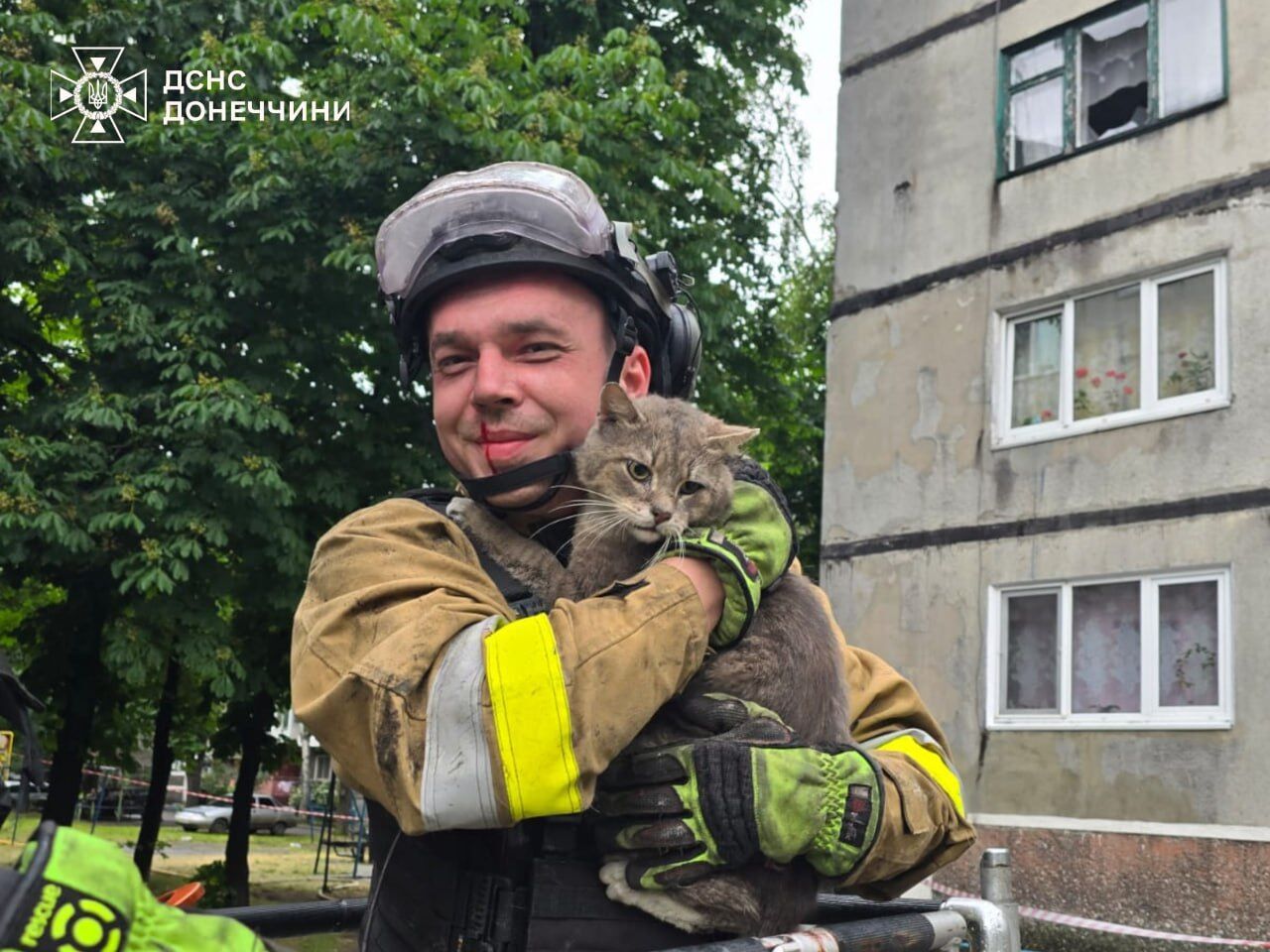 В Донецкой области спасли кота, который двое суток провел под завалами многоэтажки. Фото