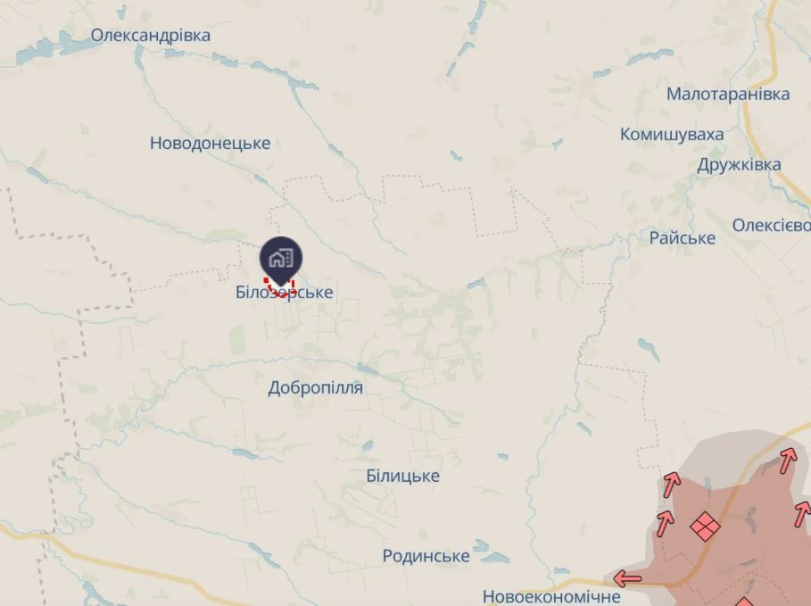 В Донецкой области спасли кота, который двое суток провел под завалами многоэтажки. Фото