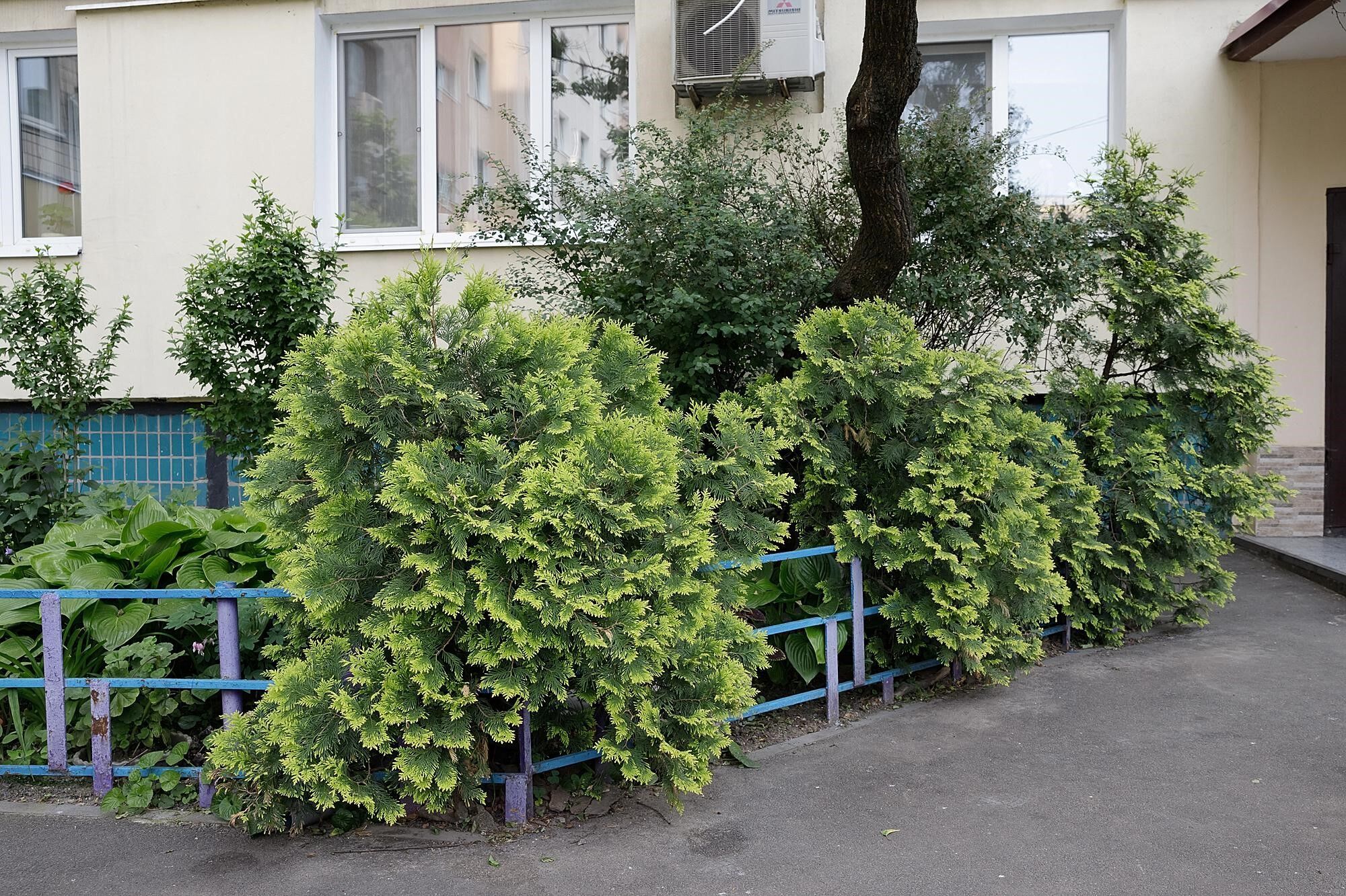 В Днепре местные власти помогли провести более 5 тысяч ремонтов в домах ОСМД-ЖСК