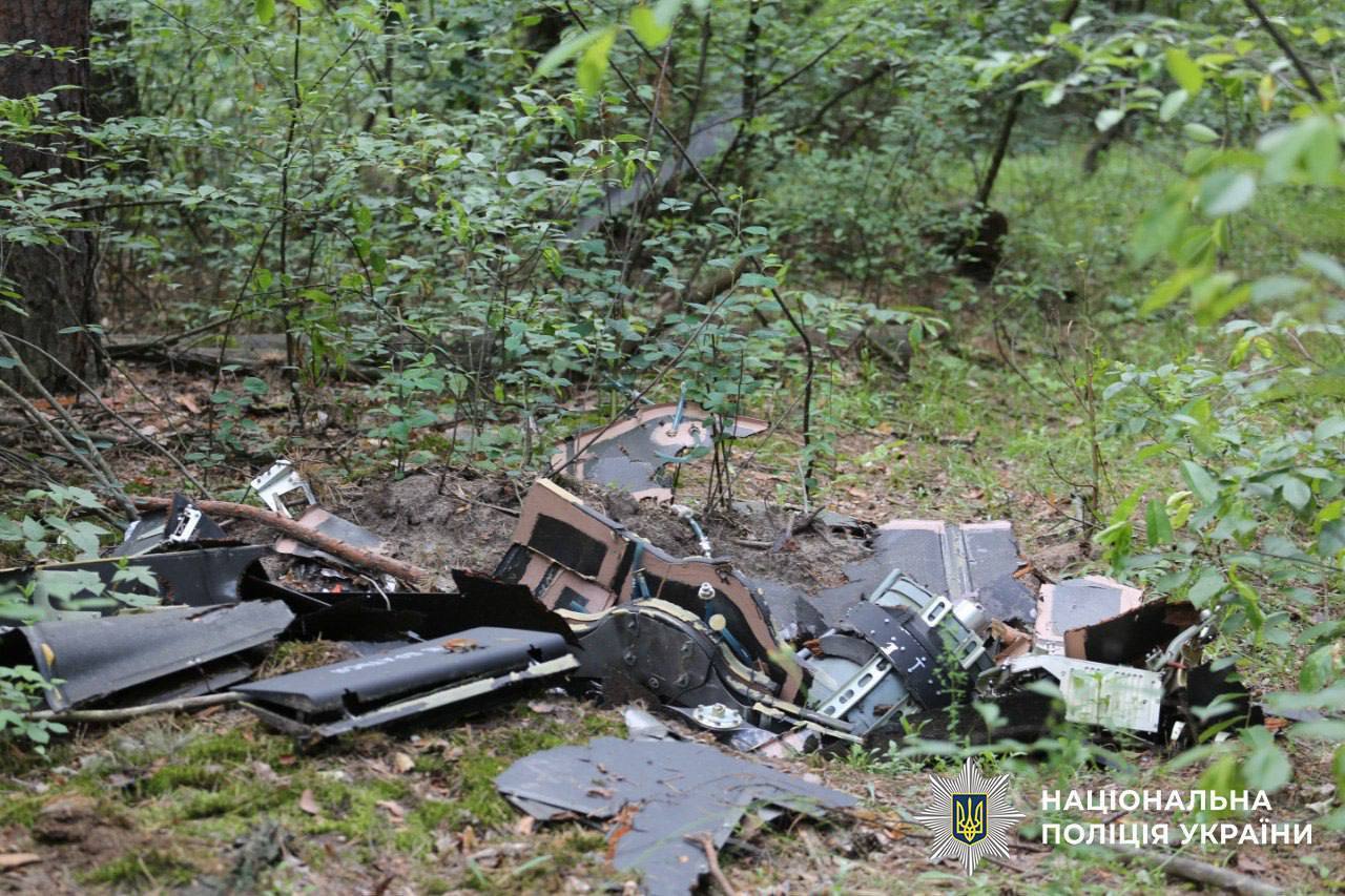 В Киеве нашли сразу два "Шахеда", которые не взорвались после того, как их сбили. Фото