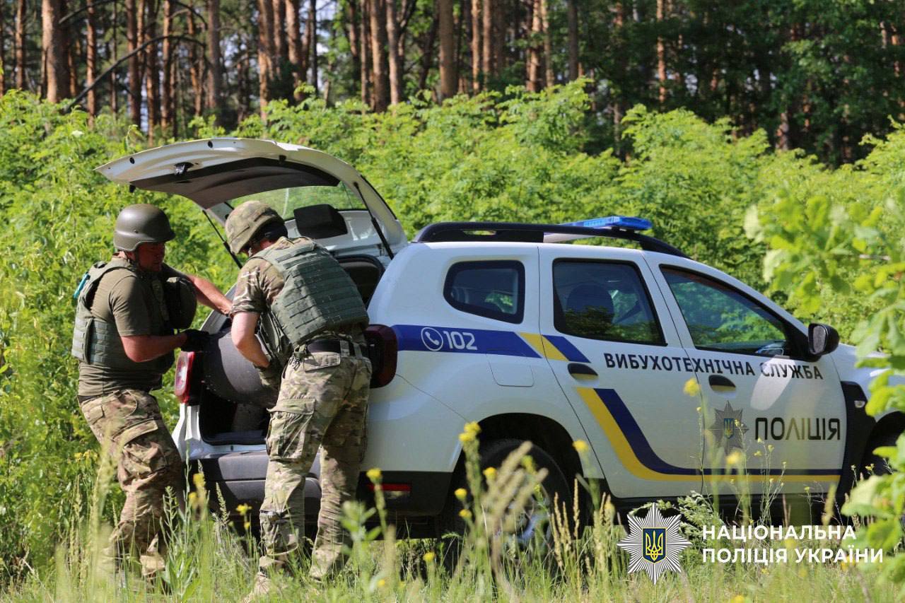 В Киеве нашли сразу два "Шахеда", которые не взорвались после того, как их сбили. Фото