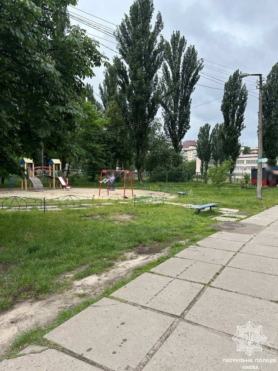 У Києві оштрафували "героя паркування" на газоні: водій вважає, що це через донецькі номери. Фото та відео