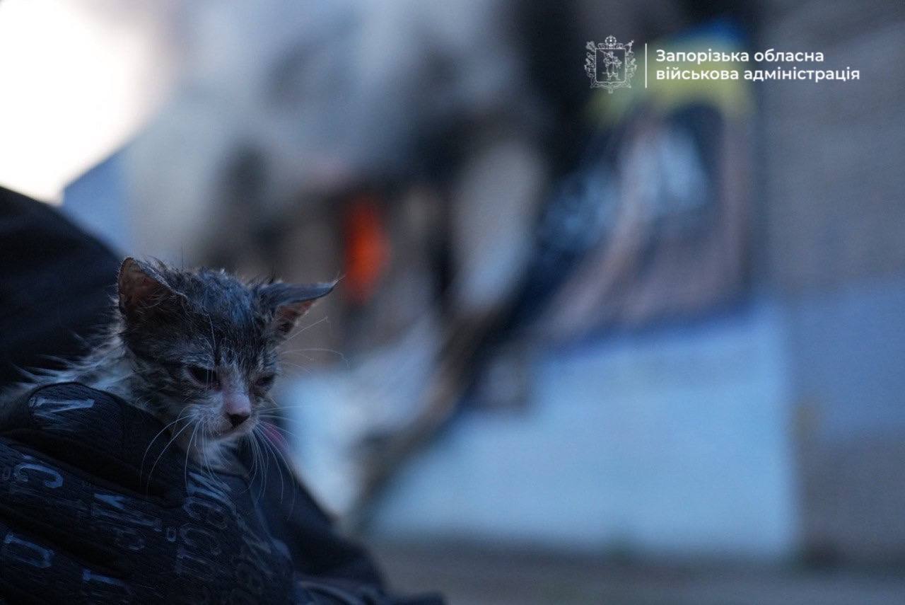 У Запоріжжі внаслідок ворожої атаки сталися пожежі, згоріли авто: постраждали двоє поліцейських. Фото і відео