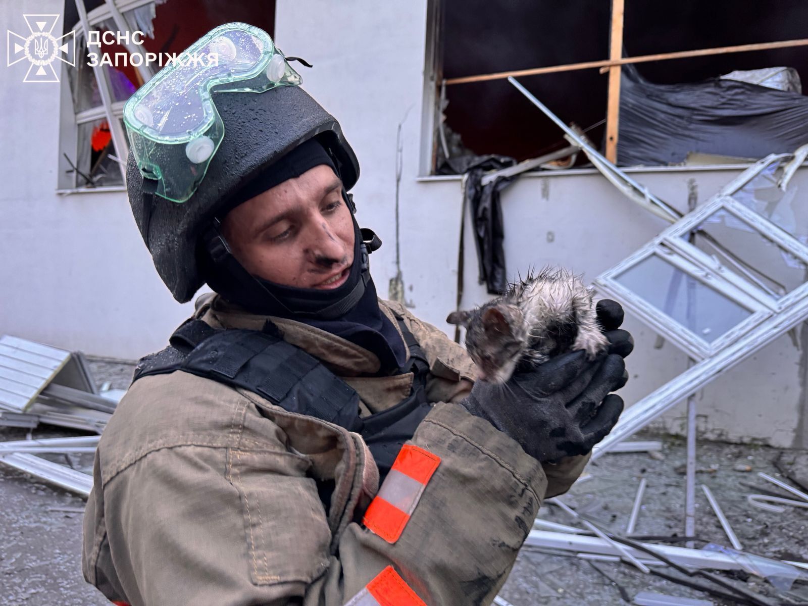 "Кожне життя важливе": у Запоріжжі рятувальники дістали кошеня з палаючої будівлі, пошкодженої внаслідок атаки РФ. Фото