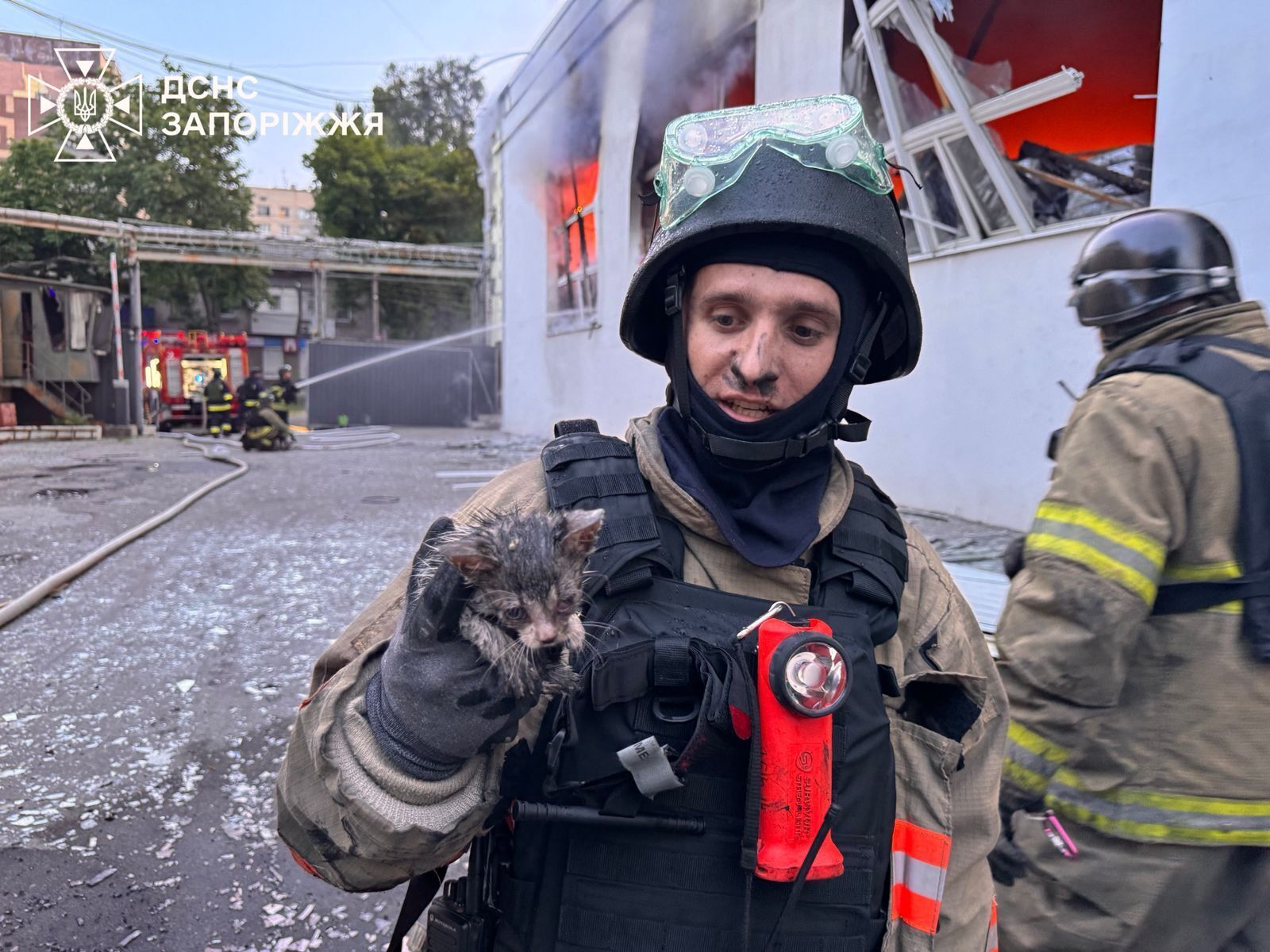 "Кожне життя важливе": у Запоріжжі рятувальники дістали кошеня з палаючої будівлі, пошкодженої внаслідок атаки РФ. Фото