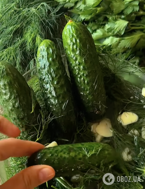 Готові огірки
