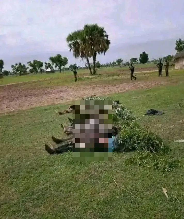 В Нигерии вооруженная группа напала на село: погибли минимум 100 человек dqxikeidqxiehkai