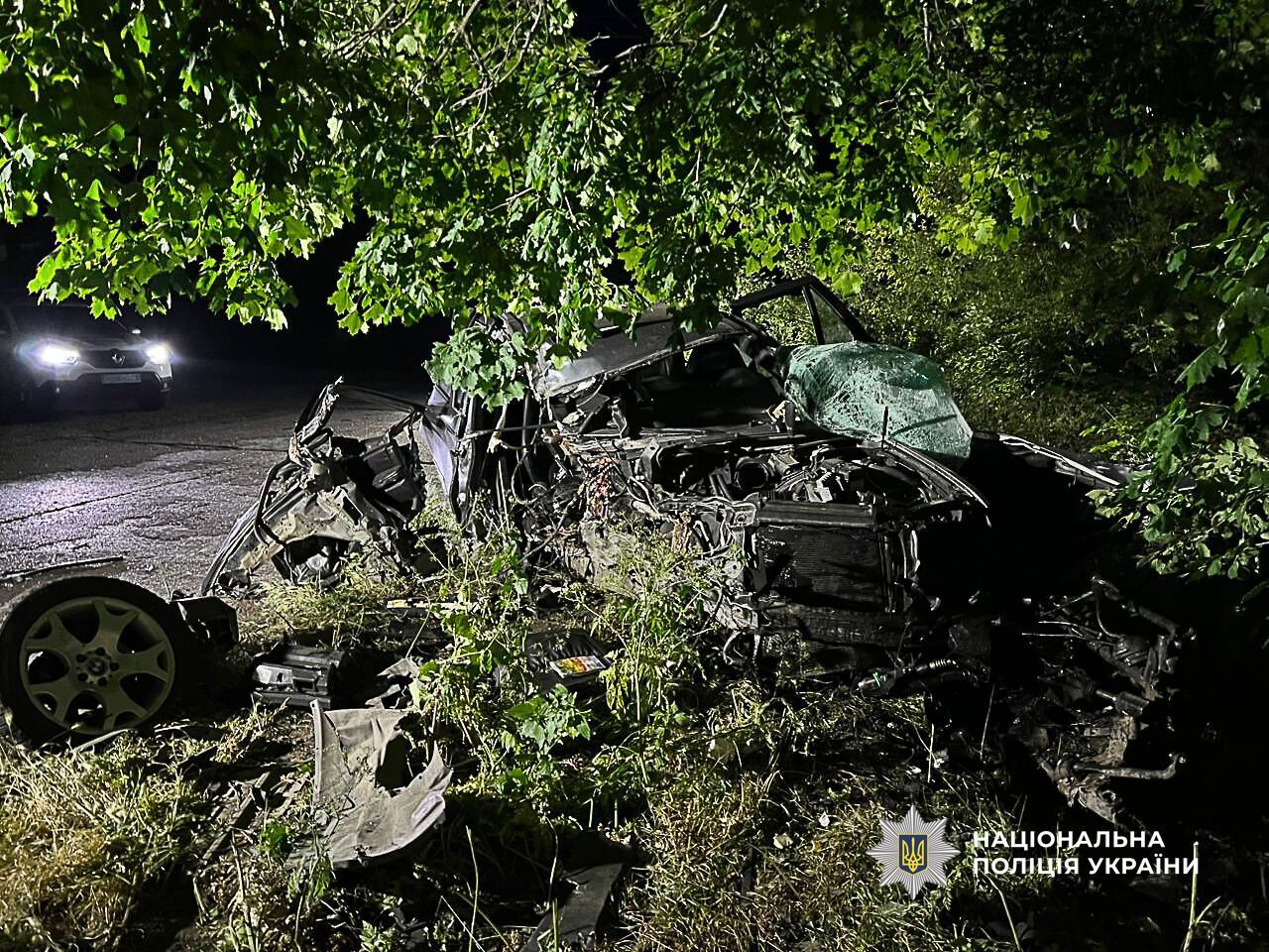 На Одещині п’яний 18-річний водій влетів у дерево: загинув неповнолітній пасажир. Фото