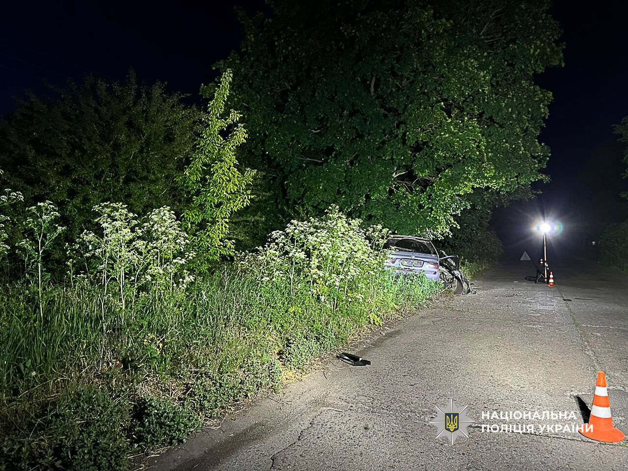 На Одещині п’яний 18-річний водій влетів у дерево: загинув неповнолітній пасажир. Фото