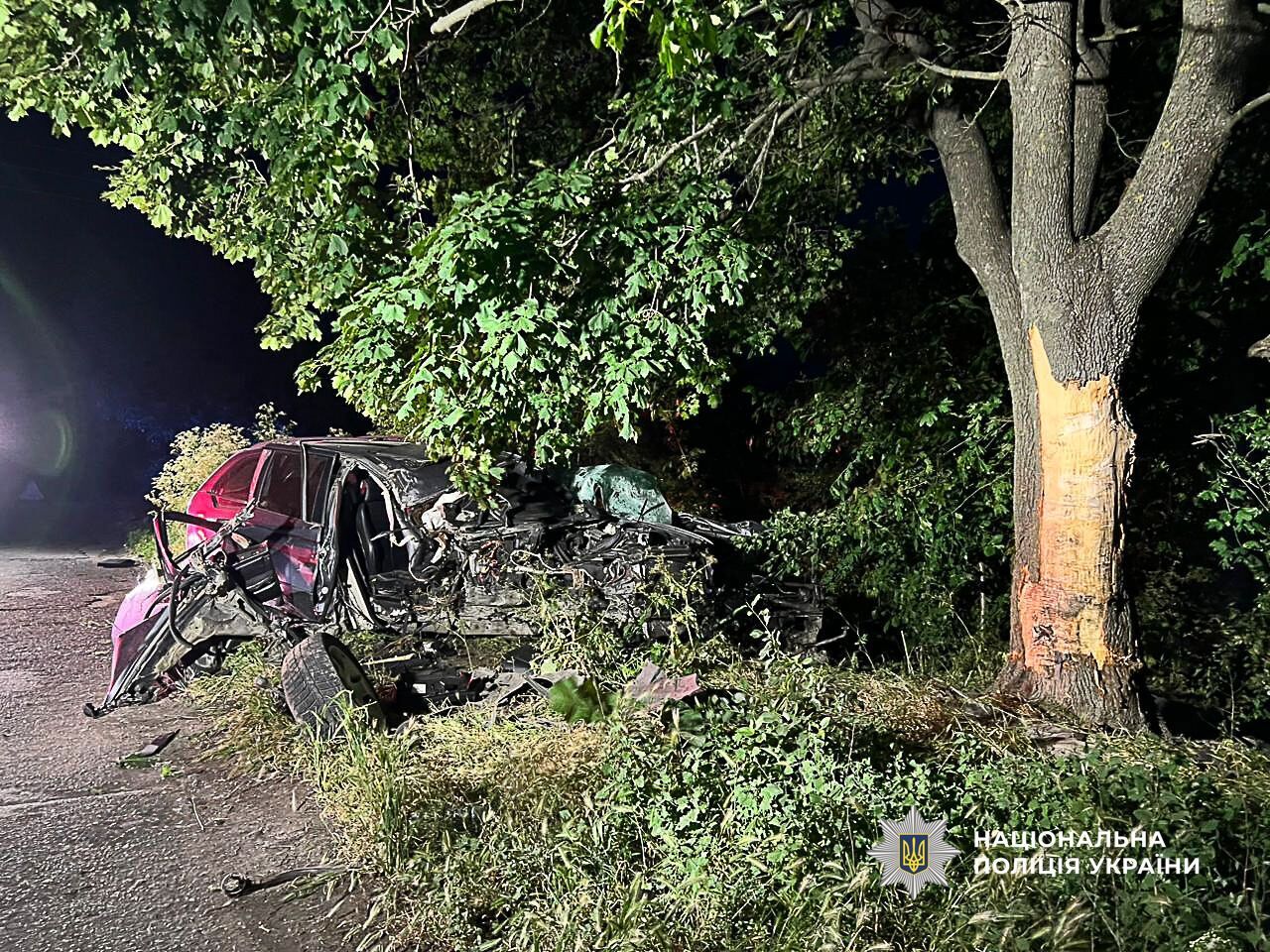 На Одещині п’яний 18-річний водій влетів у дерево: загинув неповнолітній пасажир. Фото