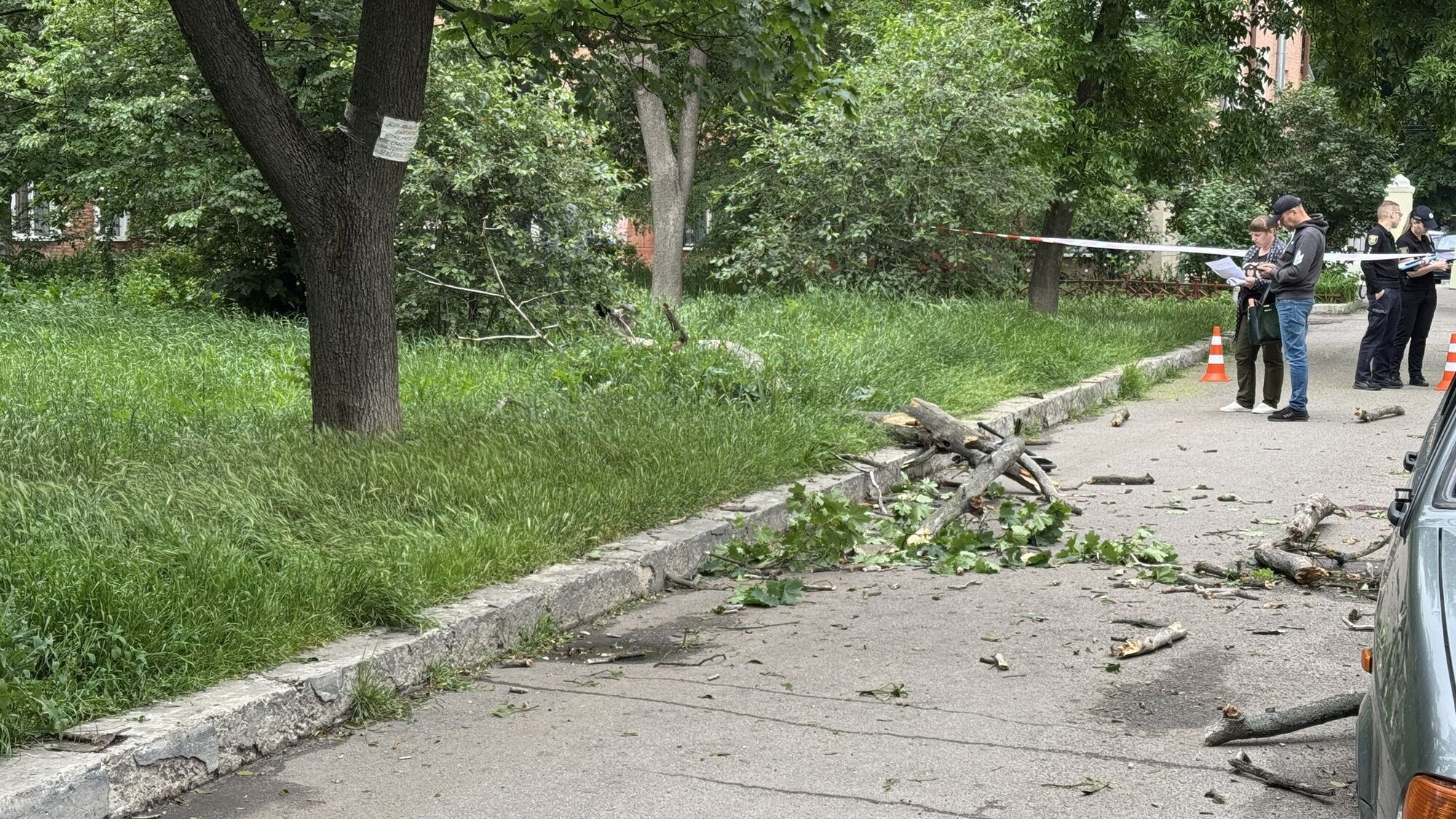 Гілка дерева впала на хлопчика в Полтаві
