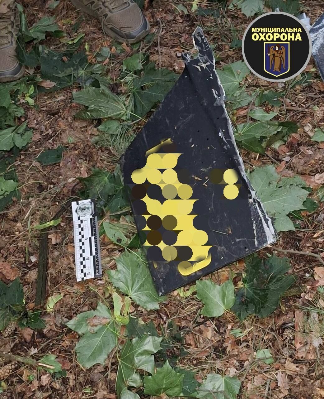 В Киеве мужчина во время прогулки в парке нашел обломки "Шахеда". Фото и подробности