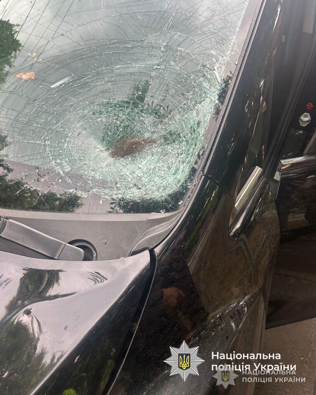 У Черкасах водія, який збив на смерть 25-річну студентку і втік з місця, відпустили під домашній арешт