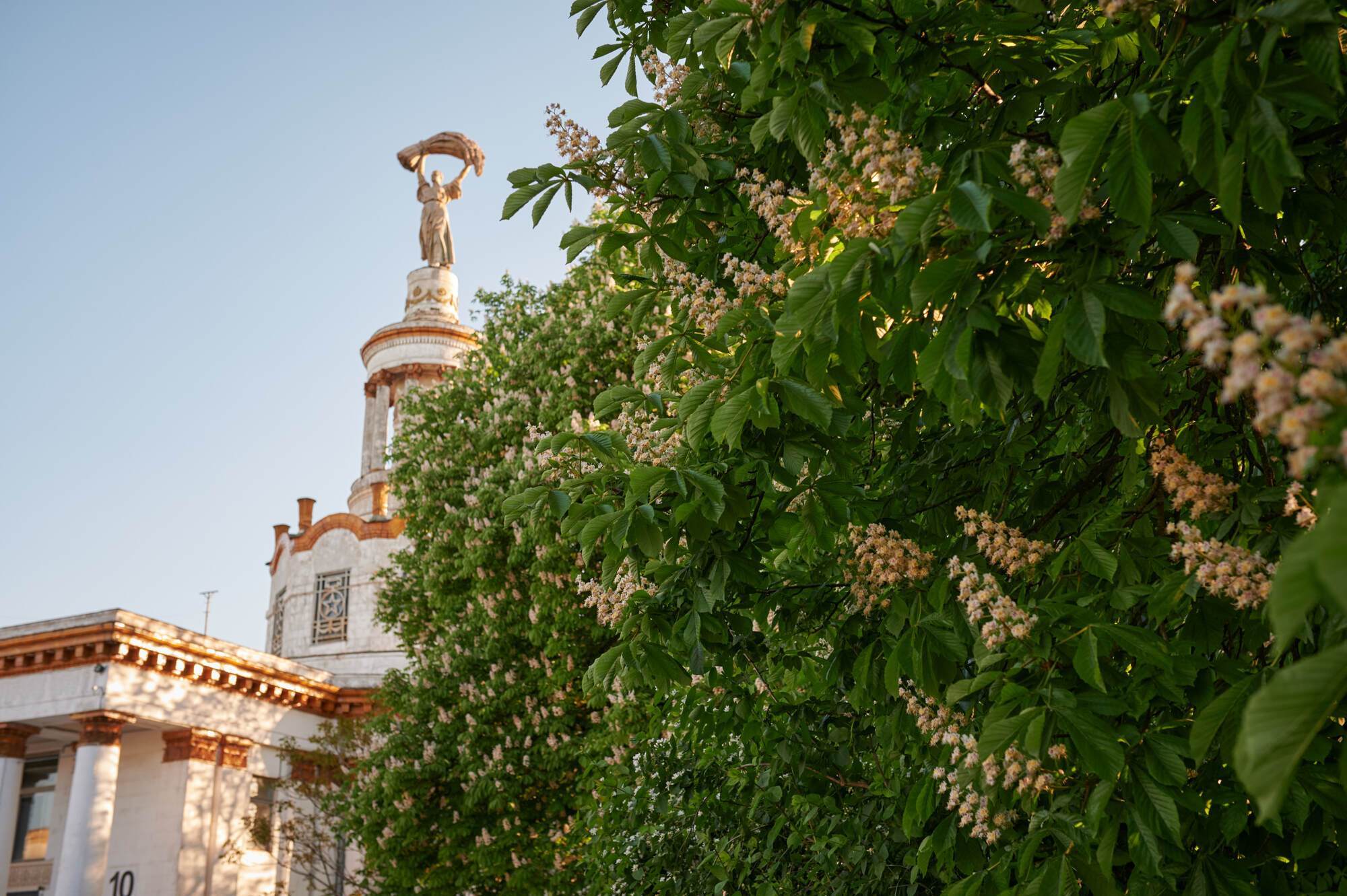 В "Экспоцентре" на ВДНХ стартовал цветочный сезон "Квітоліто"