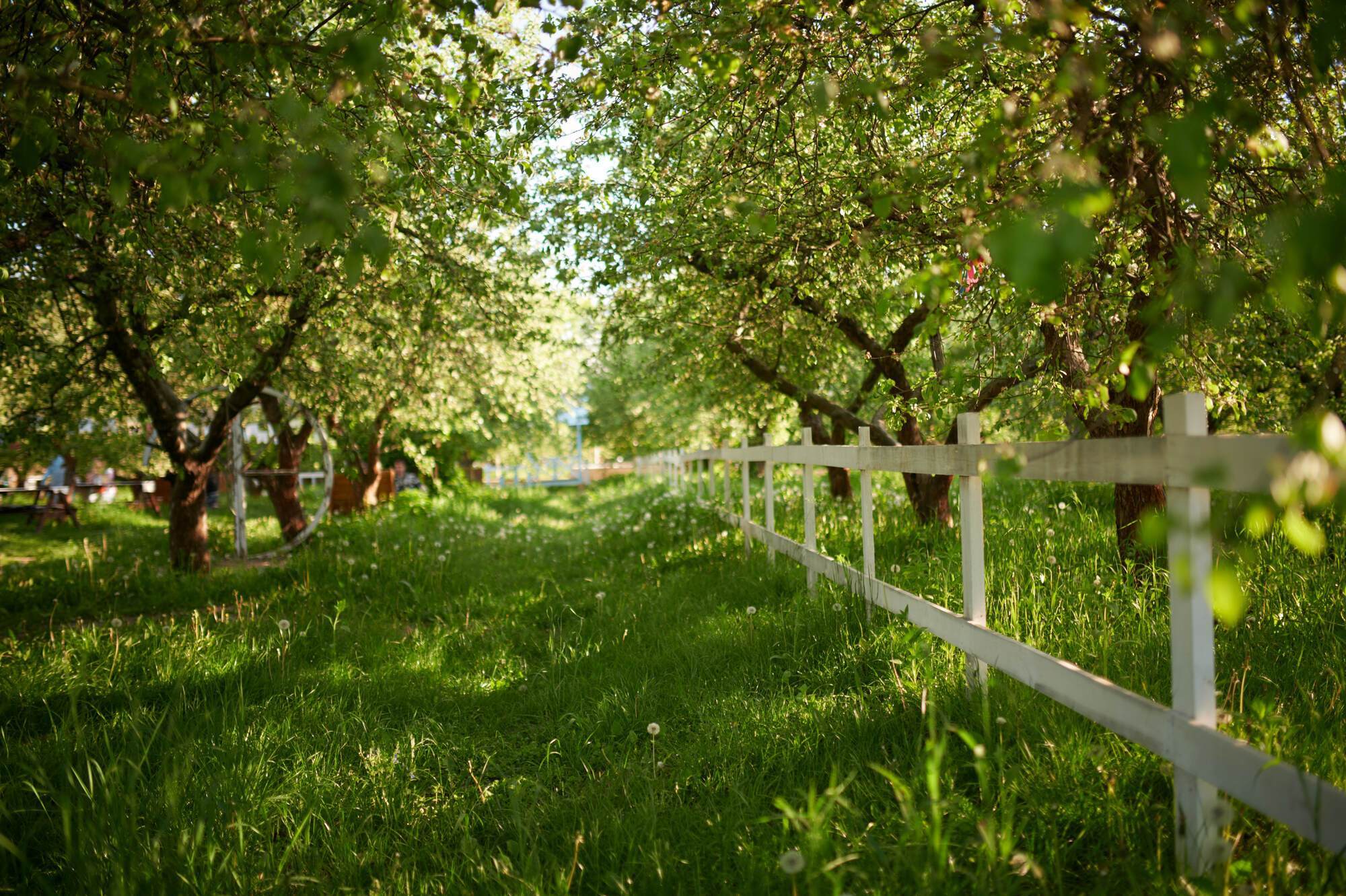 В "Экспоцентре" на ВДНХ стартовал цветочный сезон "Квітоліто"
