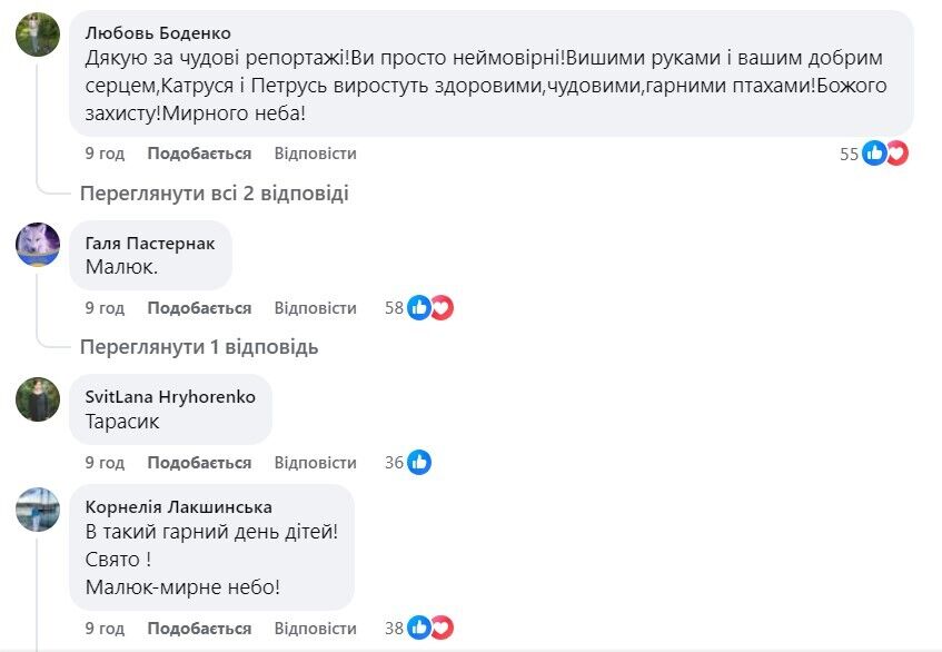 Аистенок Катруся