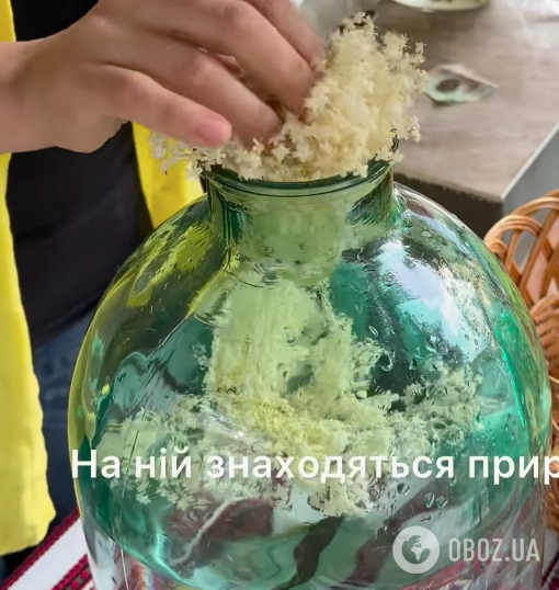 Бузина для приготовления напитка