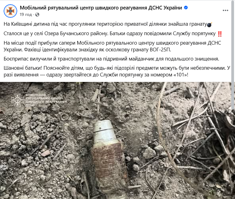В Киевской области ребенок во время прогулки на частном участке нашел осколочную гранату. Фото
