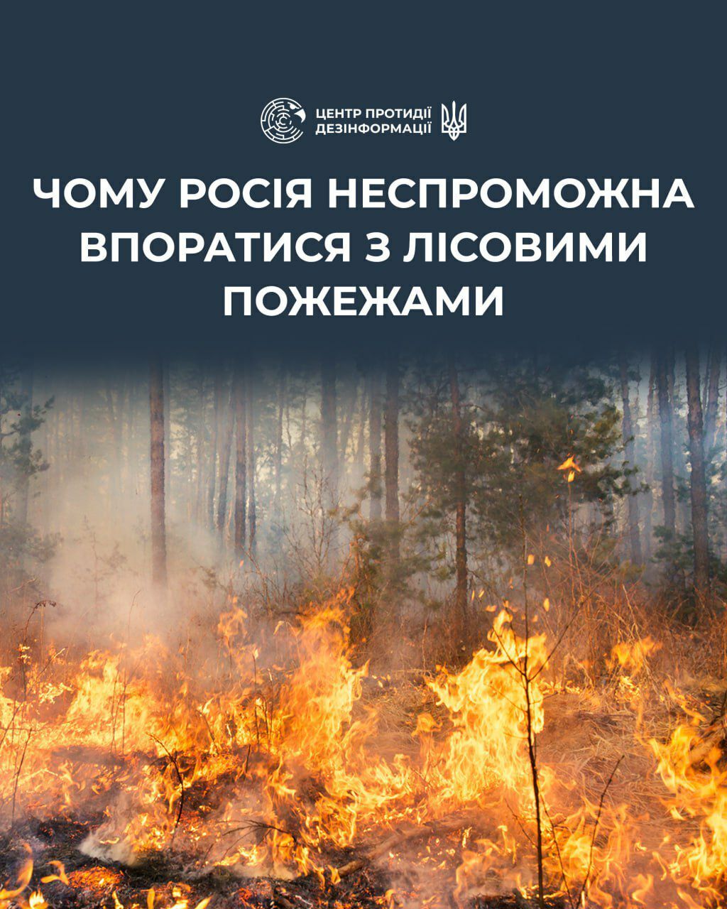 Больше всего страдает Забайкалье: в России бушуют масштабные лесные пожары, к борьбе с огнем привлекают госслужащих. Видео