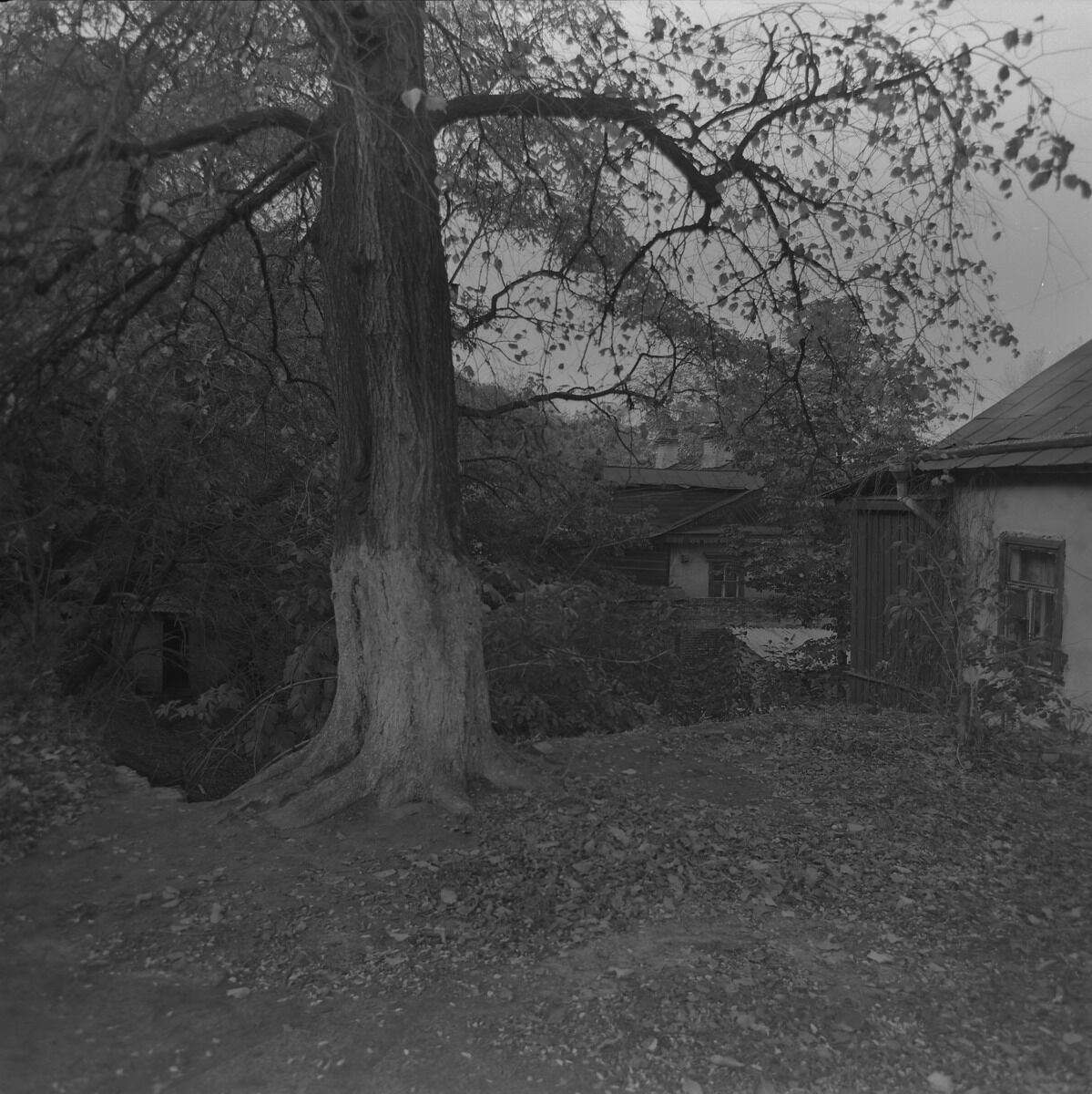 В сети показали, как выглядел Андреевский спуск и Подол в Киеве 1970-1980-х годов. Уникальные фото