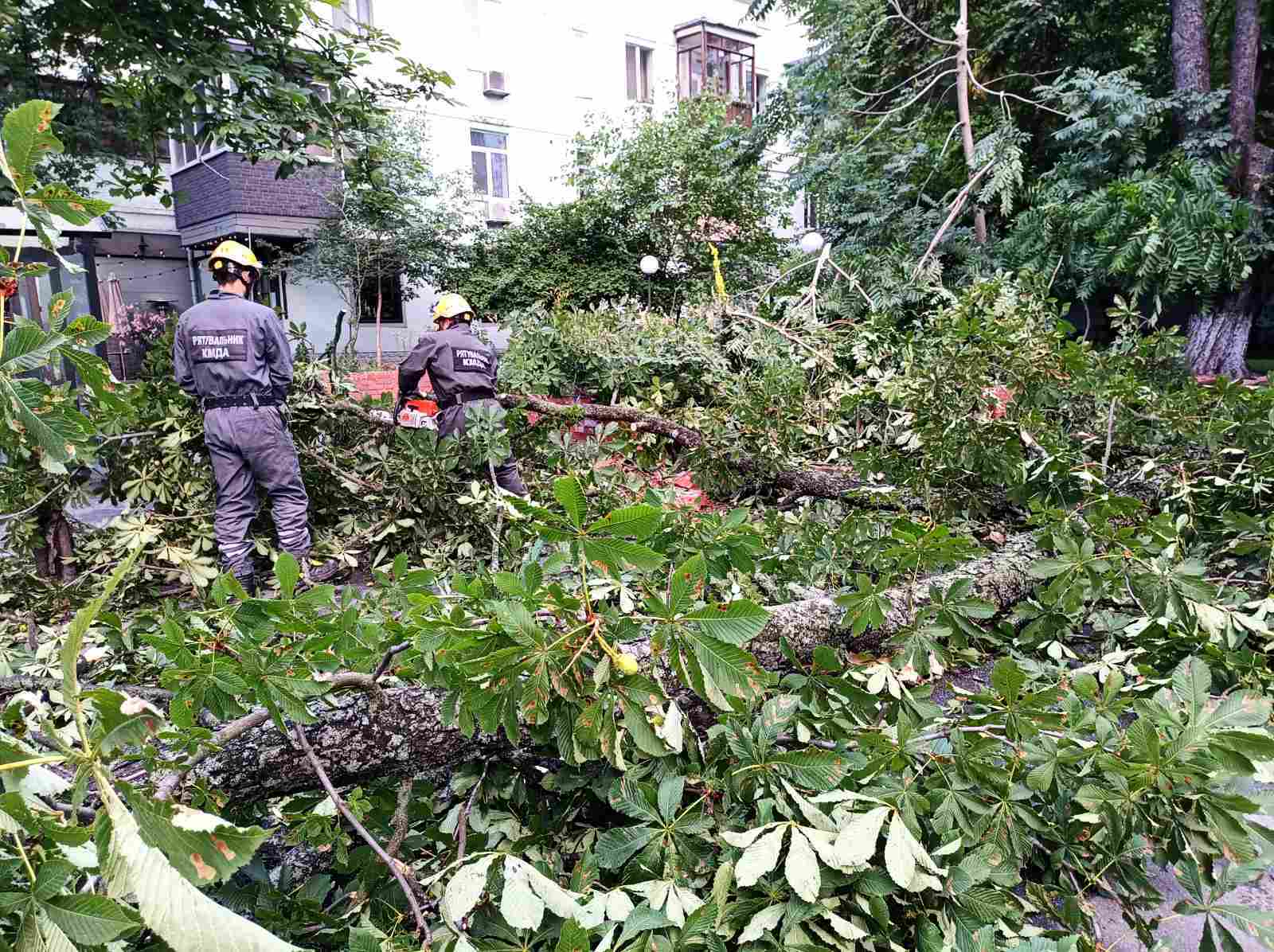 Поврежденные авто и деревья на дороге: в КАРС показали последствия непогоды в Киеве. Фото