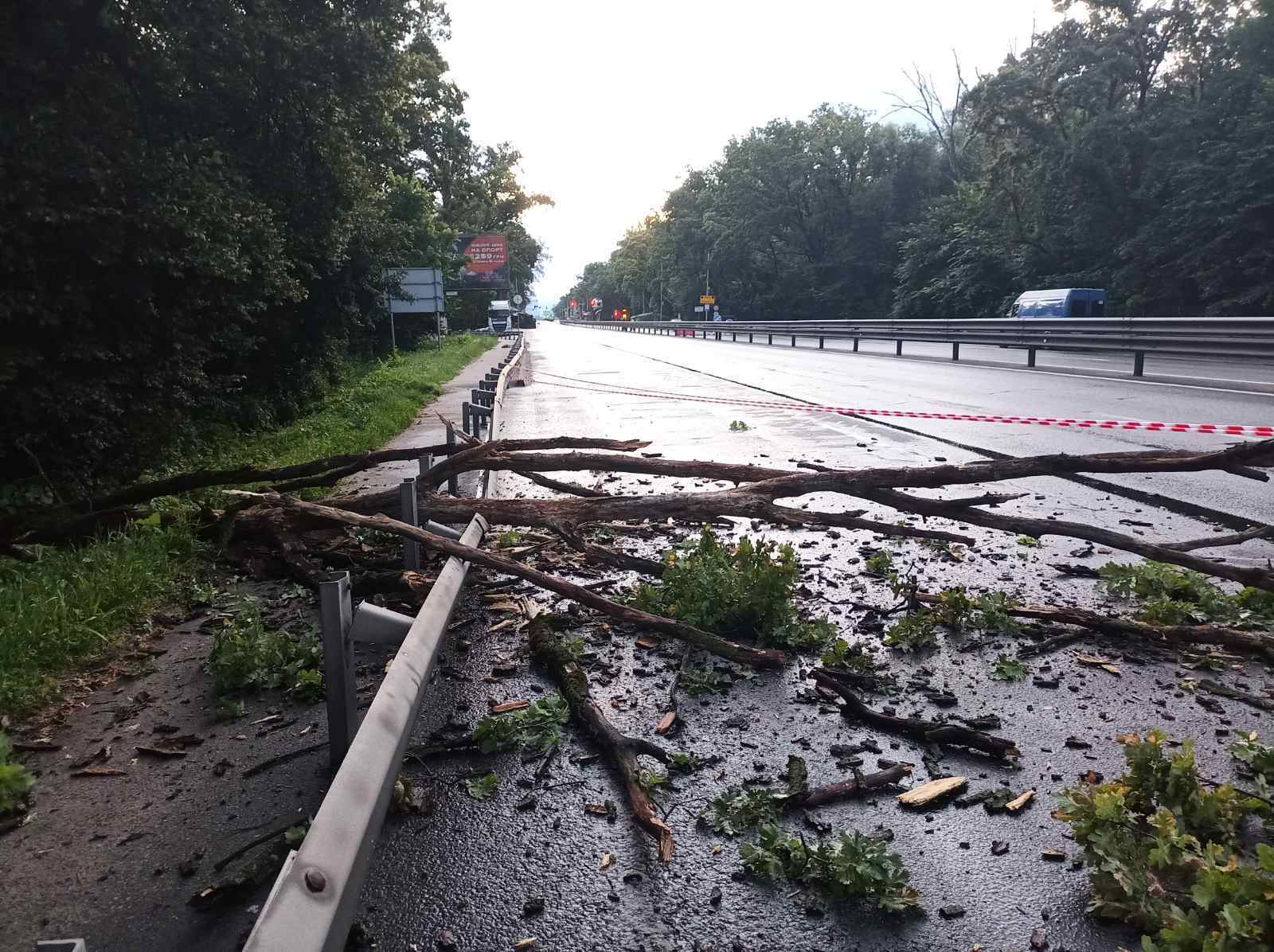 Поврежденные авто и деревья на дороге: в КАРС показали последствия непогоды в Киеве. Фото