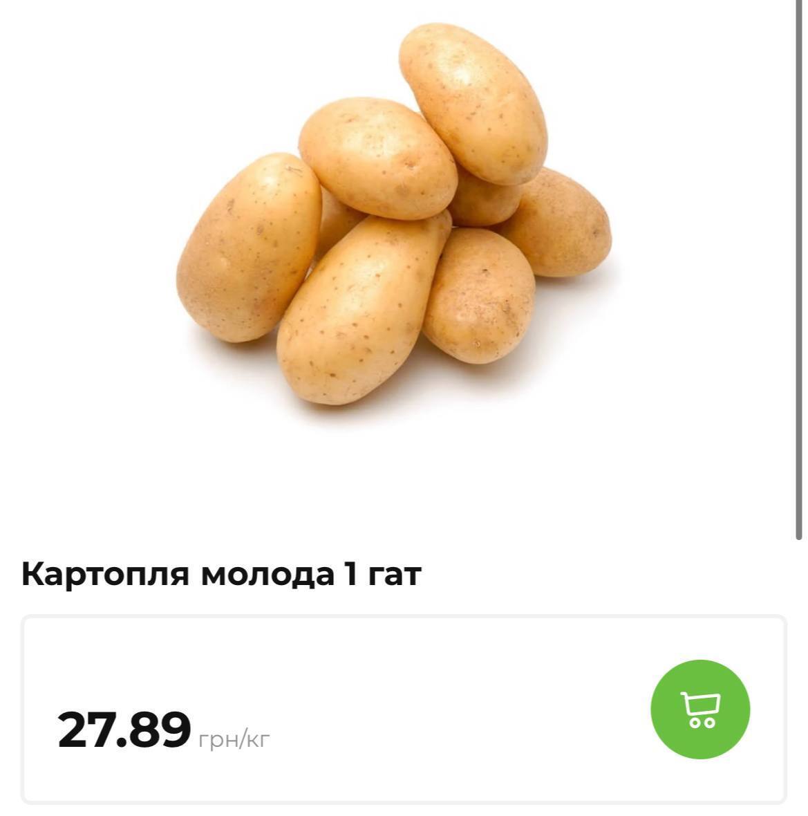 Подешевеет ли картофель до уровня прошлого года