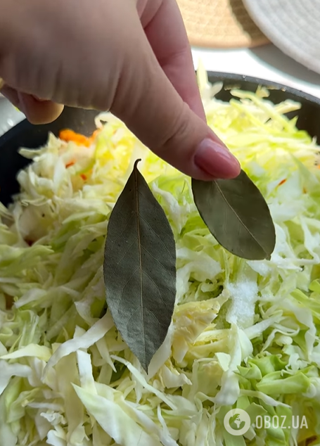 Самая вкусная тушеная капуста: с каким мясом лучше приготовить блюдо