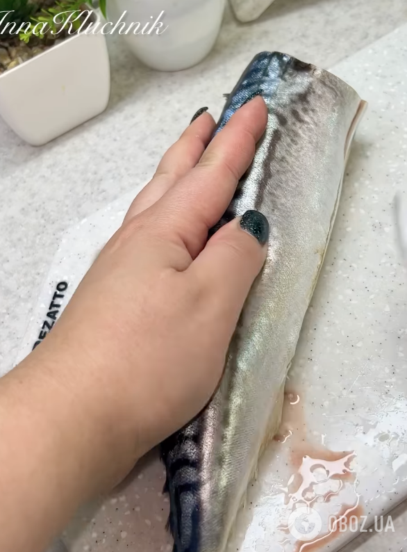 Сырая скумбрия