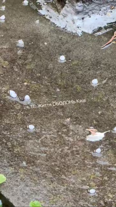 Киев накрыла гроза с громом и градом: из-за непогоды приспустят главный флаг страны. Фото и видео