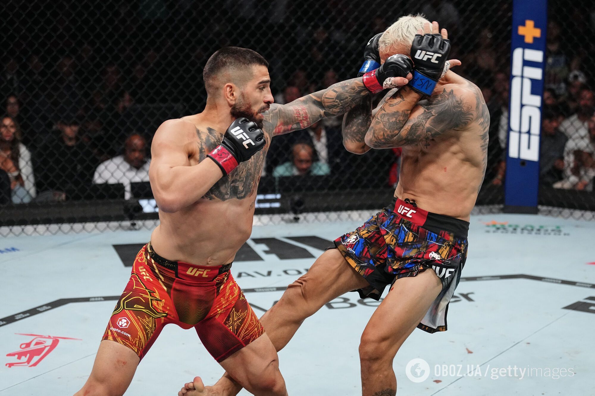 Непобедимый боец UFC добыл историческую победу брутальным нокаутом в 1-м раунде чемпионского боя. Видео